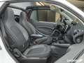 smart forTwo ForTwo Cabriolet EQ Passion LED/22 kW/DAB/Kamera Weiß - thumbnail 12