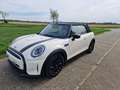 MINI Cooper Cabrio Mini Cooper Cabrio Classic Trim Wit - thumbnail 1