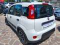 Fiat Panda 1.0 firefly hybrid City Life s&s (Prezzo Reale) Wit - thumbnail 4
