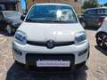 Fiat Panda 1.0 firefly hybrid City Life s&s (Prezzo Reale) Wit - thumbnail 2