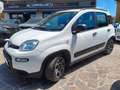 Fiat Panda 1.0 firefly hybrid City Life s&s (Prezzo Reale) Wit - thumbnail 1