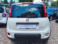 Fiat Panda 1.0 firefly hybrid City Life s&s (Prezzo Reale) Wit - thumbnail 5