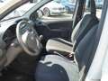 Fiat Panda 1.1 5-Türer Weiß - thumbnail 7