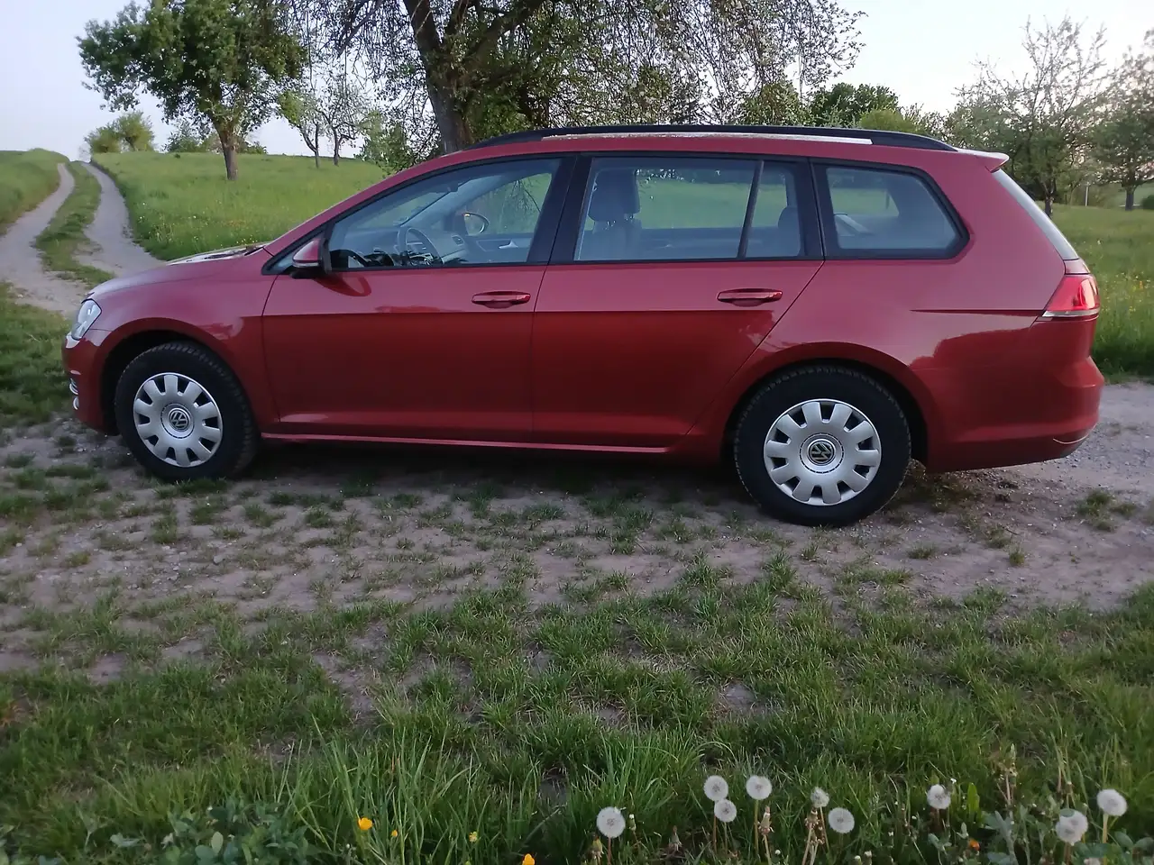 Volkswagen Golf Variant