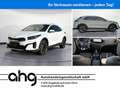 Kia XCeed Xceed 1.5 Vision DCT VISION Kia ZENTRUM SCHWARZW Blanco - thumbnail 1