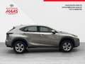 Lexus NX 300h Limited Hybrid Aut. Beige - thumbnail 6