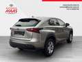 Lexus NX 300h Limited Hybrid Aut. Beige - thumbnail 5