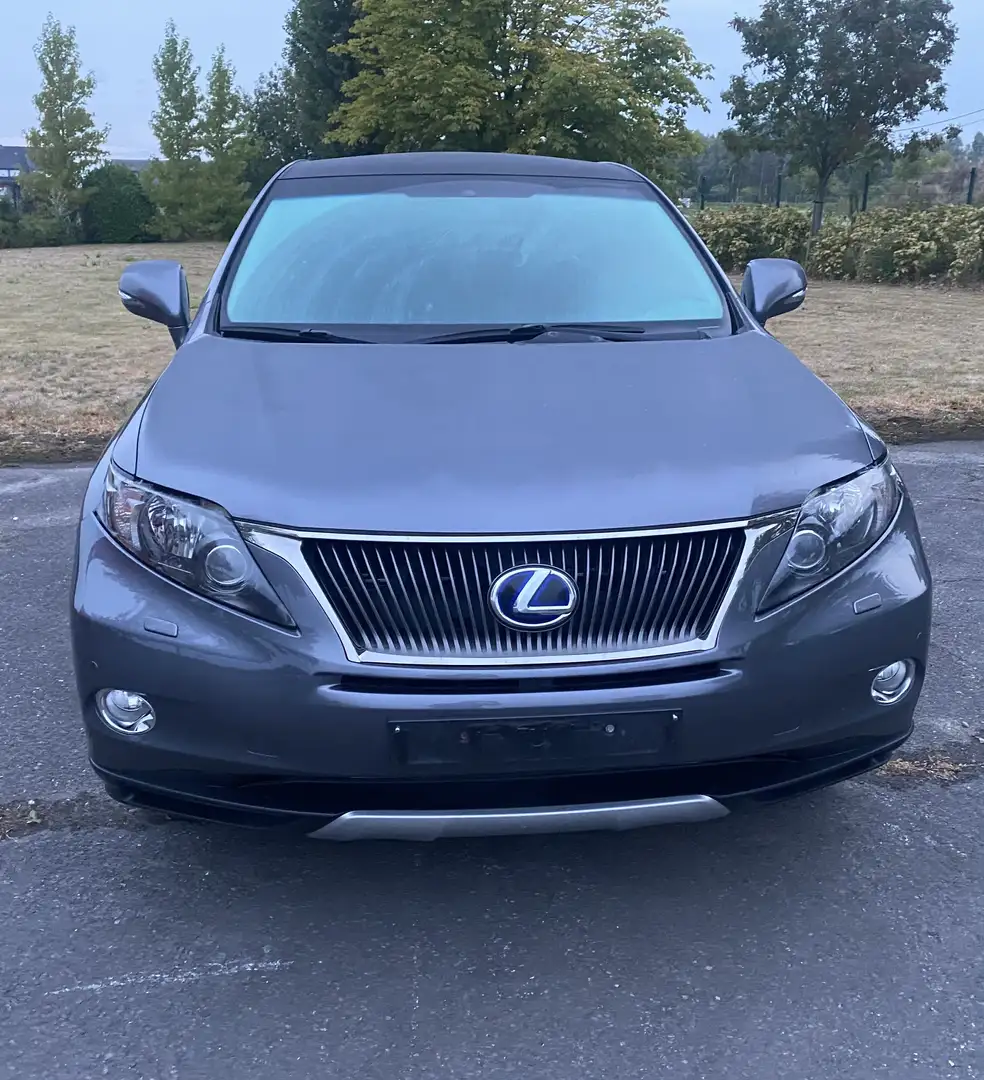 Lexus RX 450h (hybrid) Ambience Line - 2