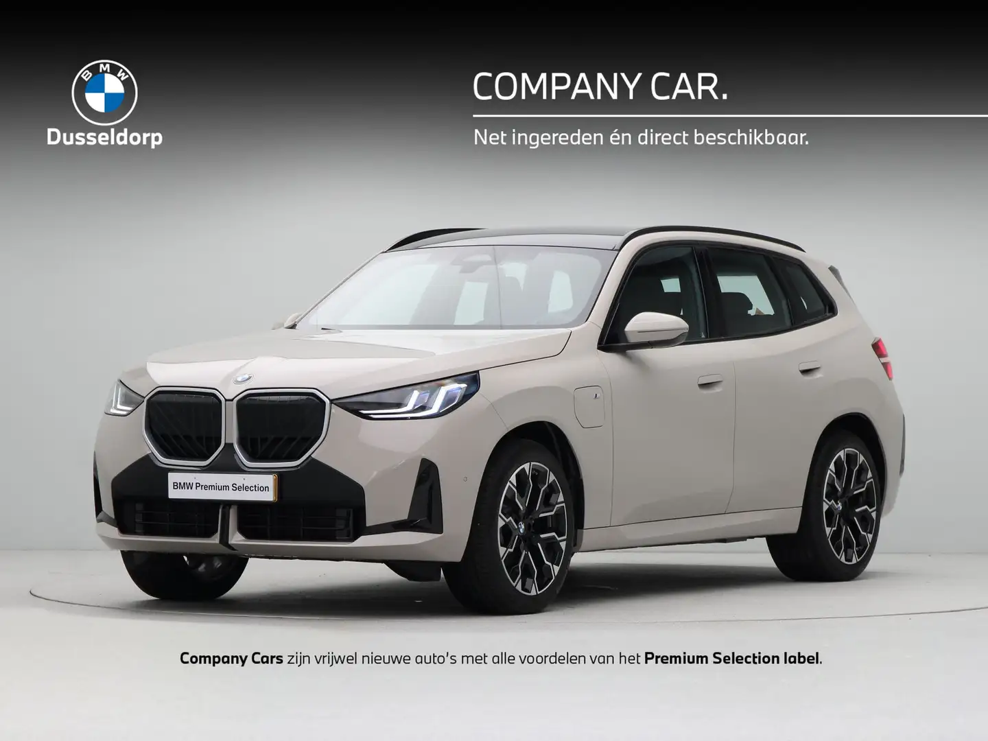 BMW X3 30e xDrive M Sport Gris - 1
