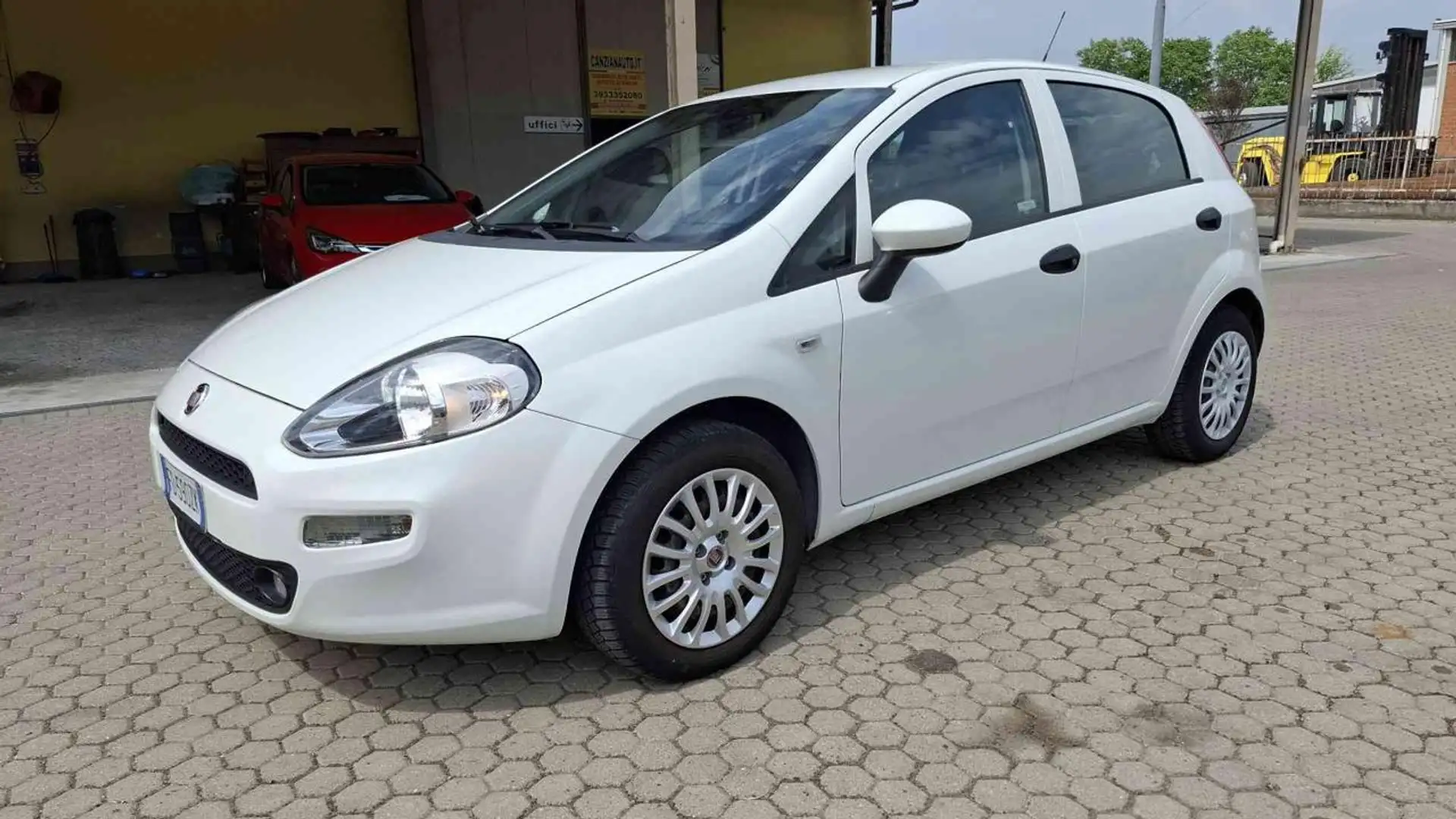Fiat Punto 1.2 8V 5P. ISTRIBUZIONE NUOVA Blanc - 2