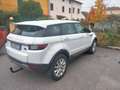 Land Rover Range Rover Evoque Bianco - thumbnail 3