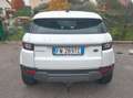 Land Rover Range Rover Evoque Bianco - thumbnail 2