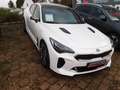 Kia Stinger STINGER 3.3T AWD AT8 GT GD Blanco - thumbnail 1