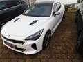 Kia Stinger STINGER 3.3T AWD AT8 GT GD Blanco - thumbnail 4