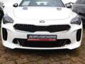 Kia Stinger STINGER 3.3T AWD AT8 GT GD Blanco - thumbnail 3