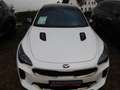 Kia Stinger STINGER 3.3T AWD AT8 GT GD Blanco - thumbnail 2