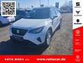 SEAT Arona ARONA ROAD EDITION 1.0 TSI AHZV-VORB. SITZH. EPH Blanco - thumbnail 1