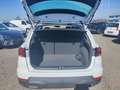 SEAT Arona ARONA ROAD EDITION 1.0 TSI AHZV-VORB. SITZH. EPH Blanco - thumbnail 3