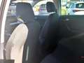 SEAT Arona ARONA ROAD EDITION 1.0 TSI AHZV-VORB. SITZH. EPH Blanco - thumbnail 11