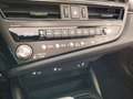 Lexus ES 300 h Business Line Aut. netto export 35000,00 Grau - thumbnail 8