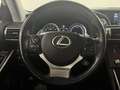Lexus IS 300 300h 25th Edition | CAMERA | NAVIGATIE | KANTEL DA Grau - thumbnail 34
