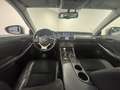 Lexus IS 300 300h 25th Edition | CAMERA | NAVIGATIE | KANTEL DA Grau - thumbnail 28