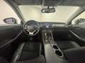 Lexus IS 300 300h 25th Edition | CAMERA | NAVIGATIE | KANTEL DA Grau - thumbnail 3