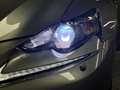 Lexus IS 300 300h 25th Edition | CAMERA | NAVIGATIE | KANTEL DA Grau - thumbnail 29