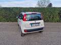 Fiat Panda 0.9 t.air t. natural power Easy 80cv - thumbnail 7