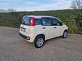 Fiat Panda 0.9 t.air t. natural power Easy 80cv - thumbnail 6