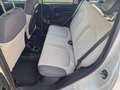 Fiat Panda 0.9 t.air t. natural power Easy 80cv - thumbnail 13