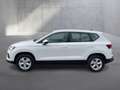 SEAT Ateca Reference Edition 1.0 TSI Weiß - thumbnail 3