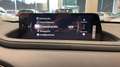 Mazda CX-30 2025 2.0 e-SKYACTIV X MHEV 186CV 6MT FWD EXCLUSIVE Rojo - thumbnail 17