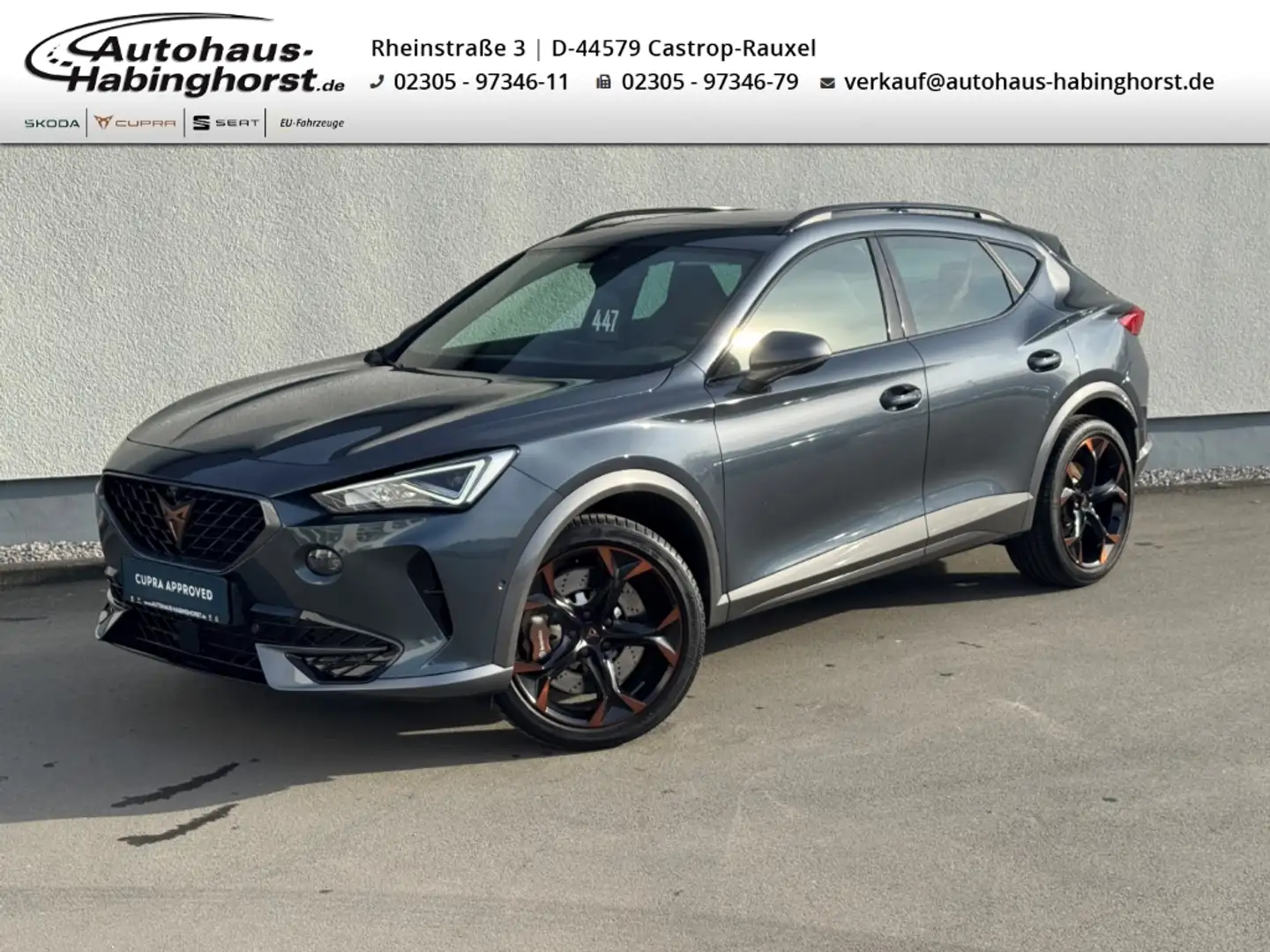 CUPRA Formentor 2.0 TSI DSG 4Drive VZ AHK e.Hk TopView Leder 19Alu Grau - 1