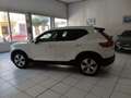 Volvo XC40 D3 Momentum Pro AWD Aut. Blanco - thumbnail 7