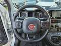 Fiat Panda 1.0 FireFly S&S CITY LIFE PREZZO PROMO Bianco - thumbnail 14