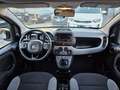 Fiat Panda 1.0 FireFly S&S CITY LIFE PREZZO PROMO Bianco - thumbnail 10