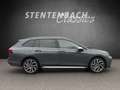 Volkswagen Golf VIII Alltrack 4M*Sthzg*Pano*AHK*DCC*ACC*8x Grau - thumbnail 5