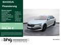 Skoda Superb Combi 2.0 TDI DSG Premium Edition Argento - thumbnail 1
