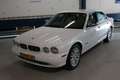 Jaguar XJ 3.5 V8 / White Pearl ! ! ! Blanco - thumbnail 5