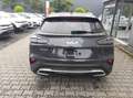 Kia XCeed TOP Modell 2026*LED*Navi*PDC*Cam*ACC*18Zoll* 11... Grau - thumbnail 5