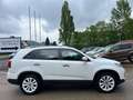 Kia Sorento Spirit 2.4 4WD/LEDER/NAVI/KAMERA TÜV Neu Weiß - thumbnail 5