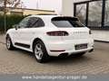 Porsche Macan S Diesel Sport Design 18Wege ACC Stdhzg Weiß - thumbnail 7