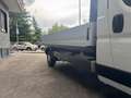 Fiat Ducato CASSONE 3,90 KM 23.362 140CV 2,3MJET Blanc - thumbnail 13