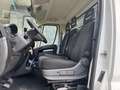 Fiat Ducato CASSONE 3,90 KM 23.362 140CV 2,3MJET Blanc - thumbnail 16