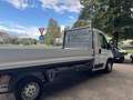 Fiat Ducato CASSONE 3,90 KM 23.362 140CV 2,3MJET Blanc - thumbnail 9
