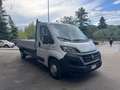 Fiat Ducato CASSONE 3,90 KM 23.362 140CV 2,3MJET Blanc - thumbnail 11