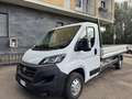 Fiat Ducato CASSONE 3,90 KM 23.362 140CV 2,3MJET Blanc - thumbnail 3