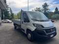 Fiat Ducato CASSONE 3,90 KM 23.362 140CV 2,3MJET Blanc - thumbnail 1