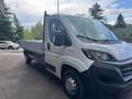 Fiat Ducato CASSONE 3,90 KM 23.362 140CV 2,3MJET Blanc - thumbnail 12